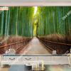 Tranh dán tường con con đường ở Rừng Tre Arashiyama Nhật Bản 00733