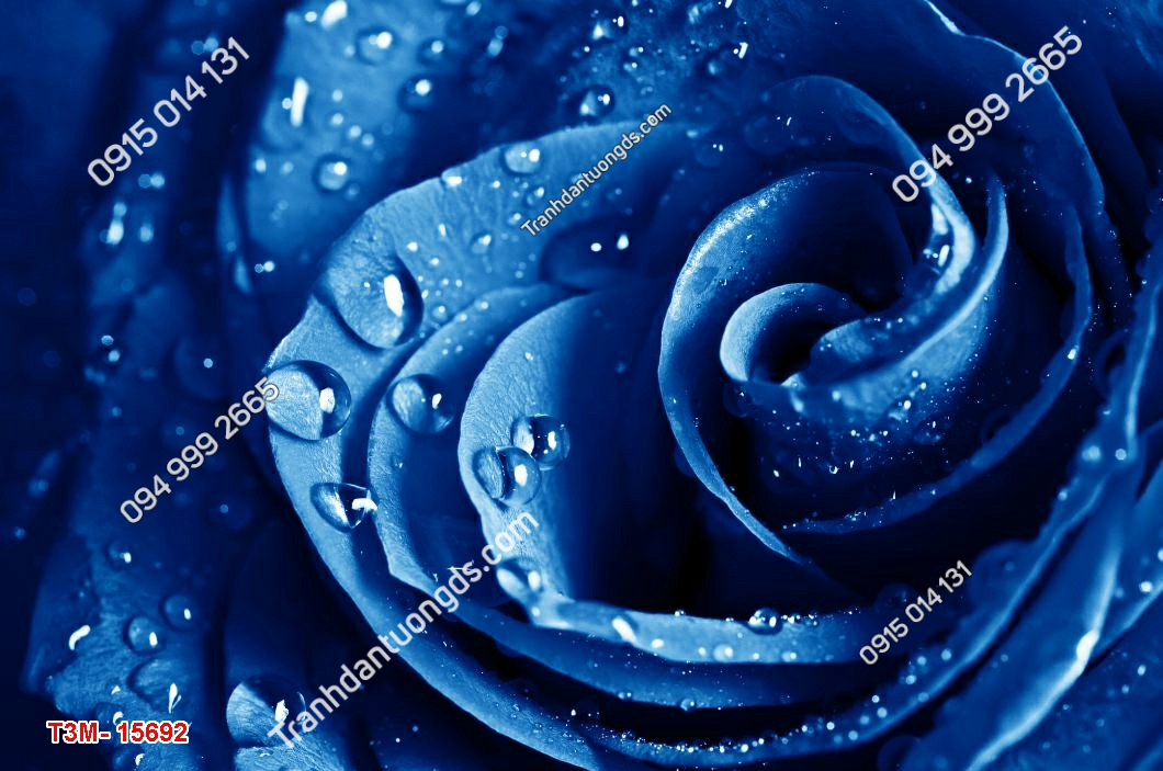 Tranh dán tường hoa hồng 3D xanh - 15692 DEMO3