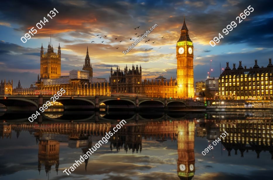 Cảnh đêm Cung điện Westminster và tháp đồng hồ Big Ben bên sông Thames ở London, Vương quốc Anh - 1192264885