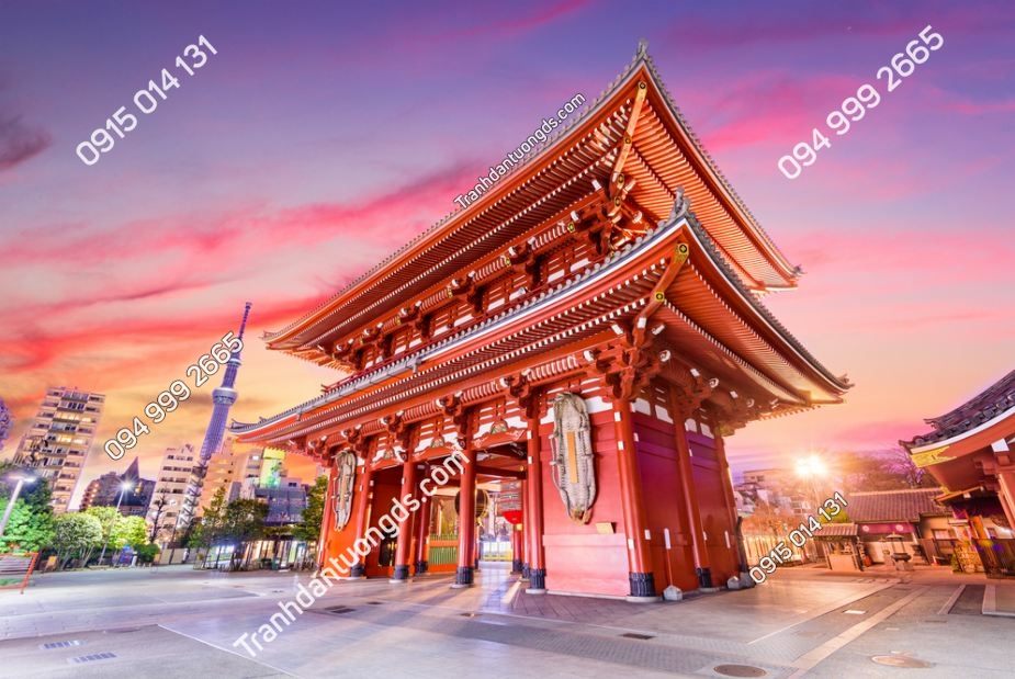 Cổng đền ở Tokyo, Nhật Bản - 623610230
