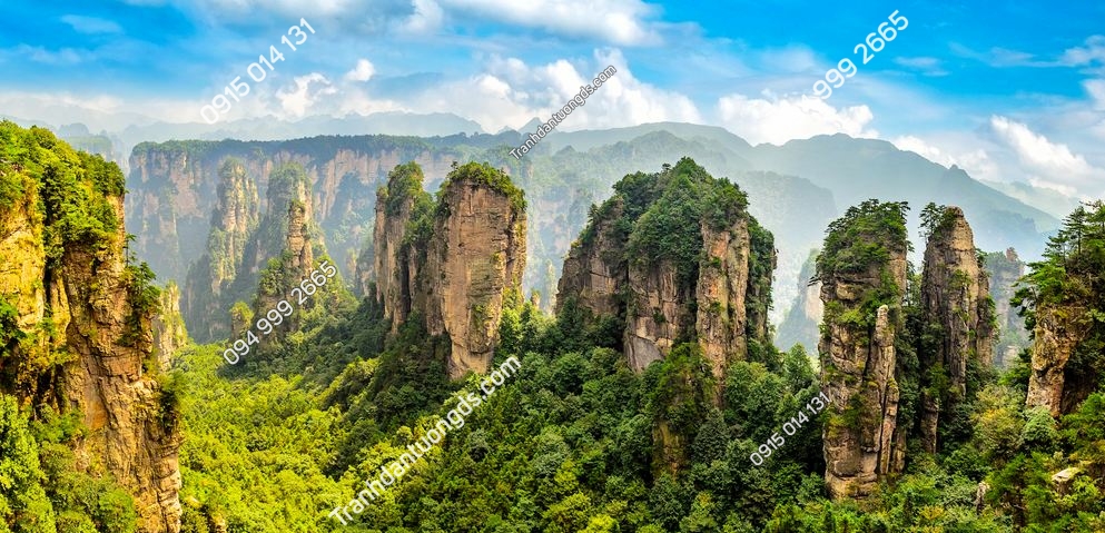 Công viên rừng Trương Gia Giới. Núi cột khổng lồ mọc lên từ hẻm núi. Tỉnh Hồ Nam, Trung Quốc 547663615