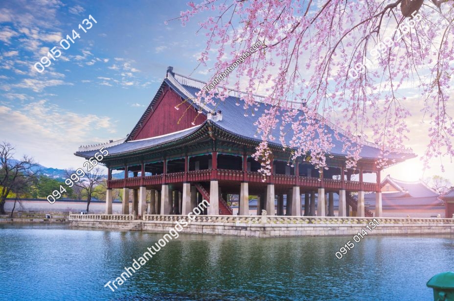 Cung điện gyeongbokgung vào mùa xuân, Hàn Quốc 387094399