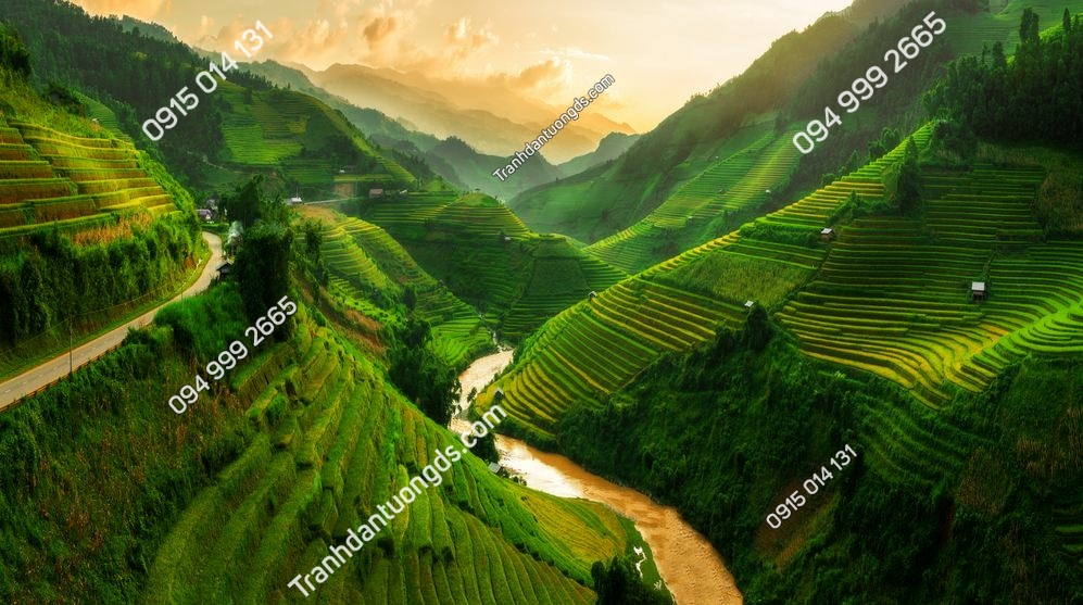 Mù Cang Chải, cánh đồng lúa bậc thang gần Sapa, miền Bắc Việt Nam 521129761