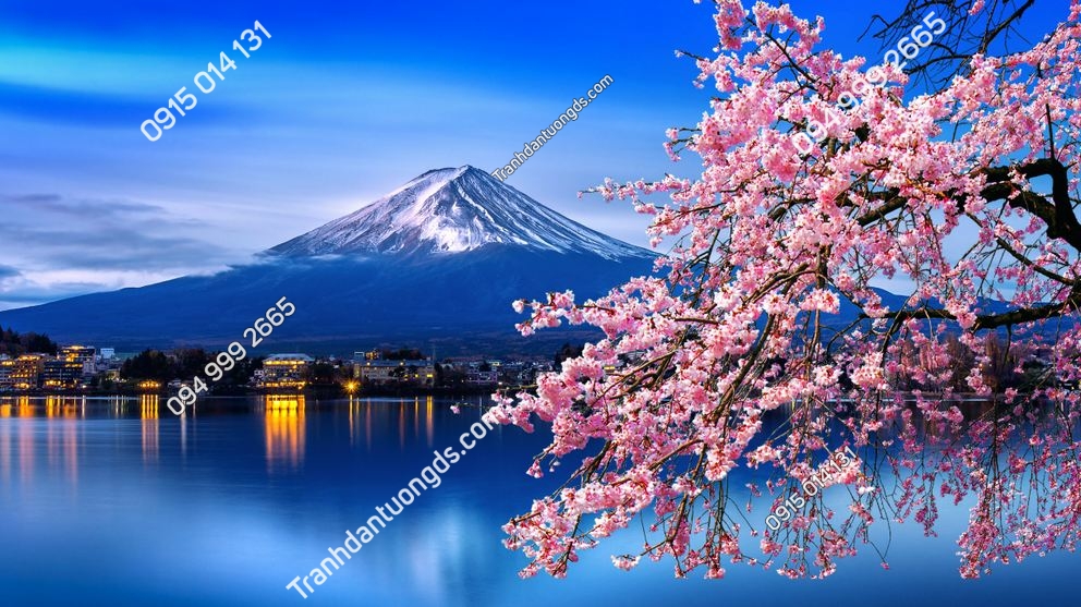 Núi Phú Sĩ và hoa anh đào vào mùa xuân, Nhật Bản 1346329283