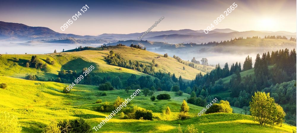 Thảo nguyên cỏ Carpathian, Ukraine 130505714