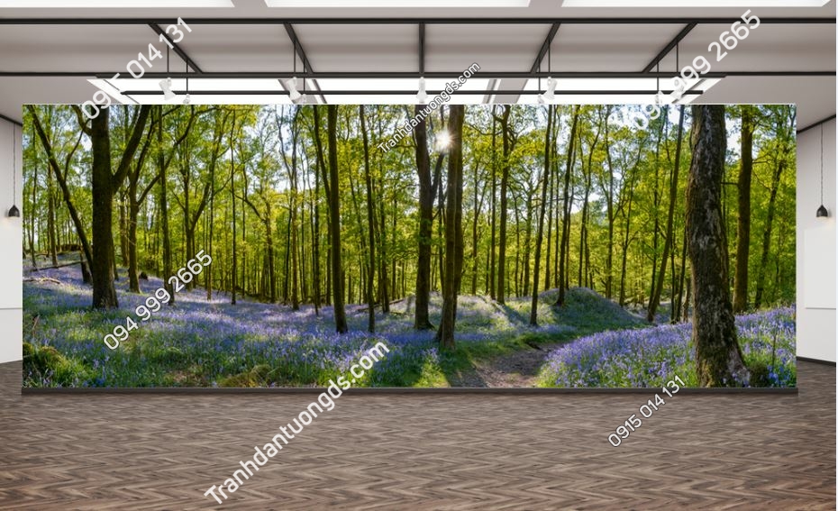 Tranh cảnh mùa xuân đẹp trong một khu rừng rừng với thảm Bluebell 643372114