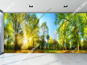 Tranh rừng cây khổ dài 613289762