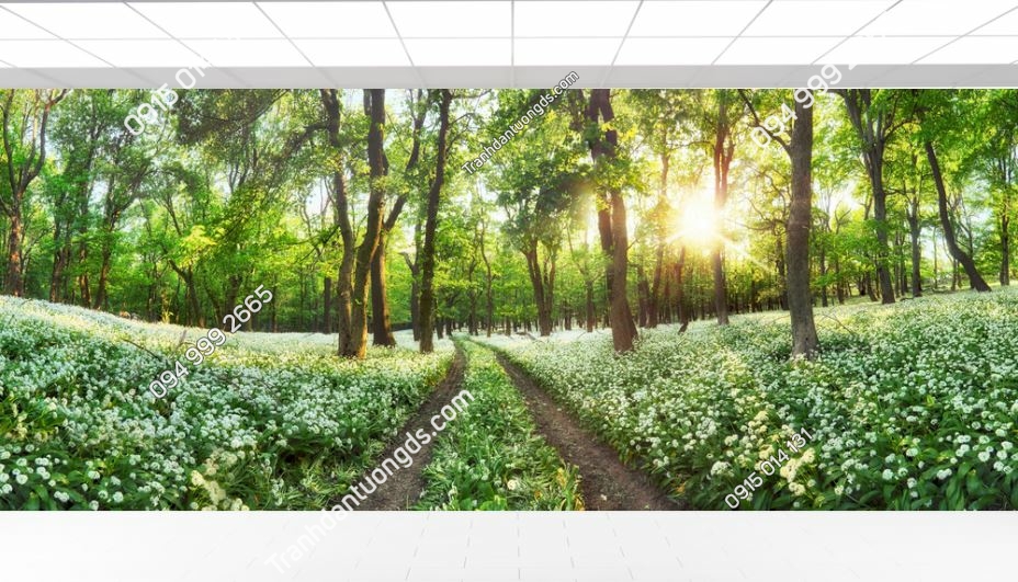 Tranh rừng với con đường hoa trắng xinh đẹp 654447445
