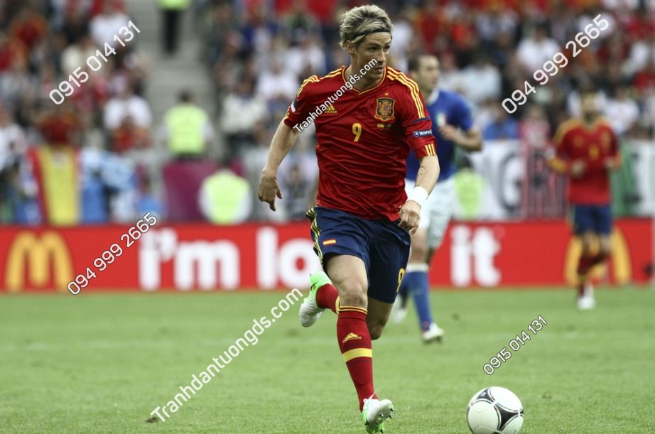 Tranh cầu thủ bóng đá Fernando Torres 120096784