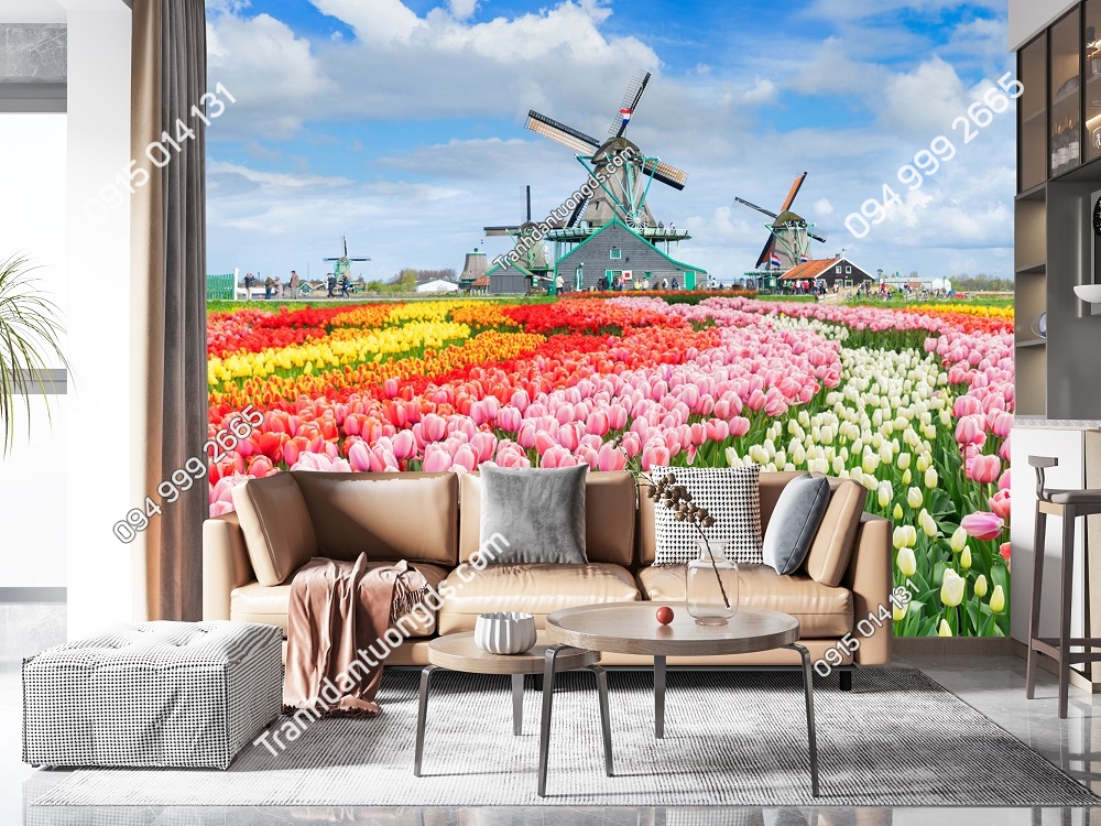 Tranh dán tường 5D cảnh hoa Tuylip và cối xay gió ở Hà Lan - Cảnh Châu Âu 736393257