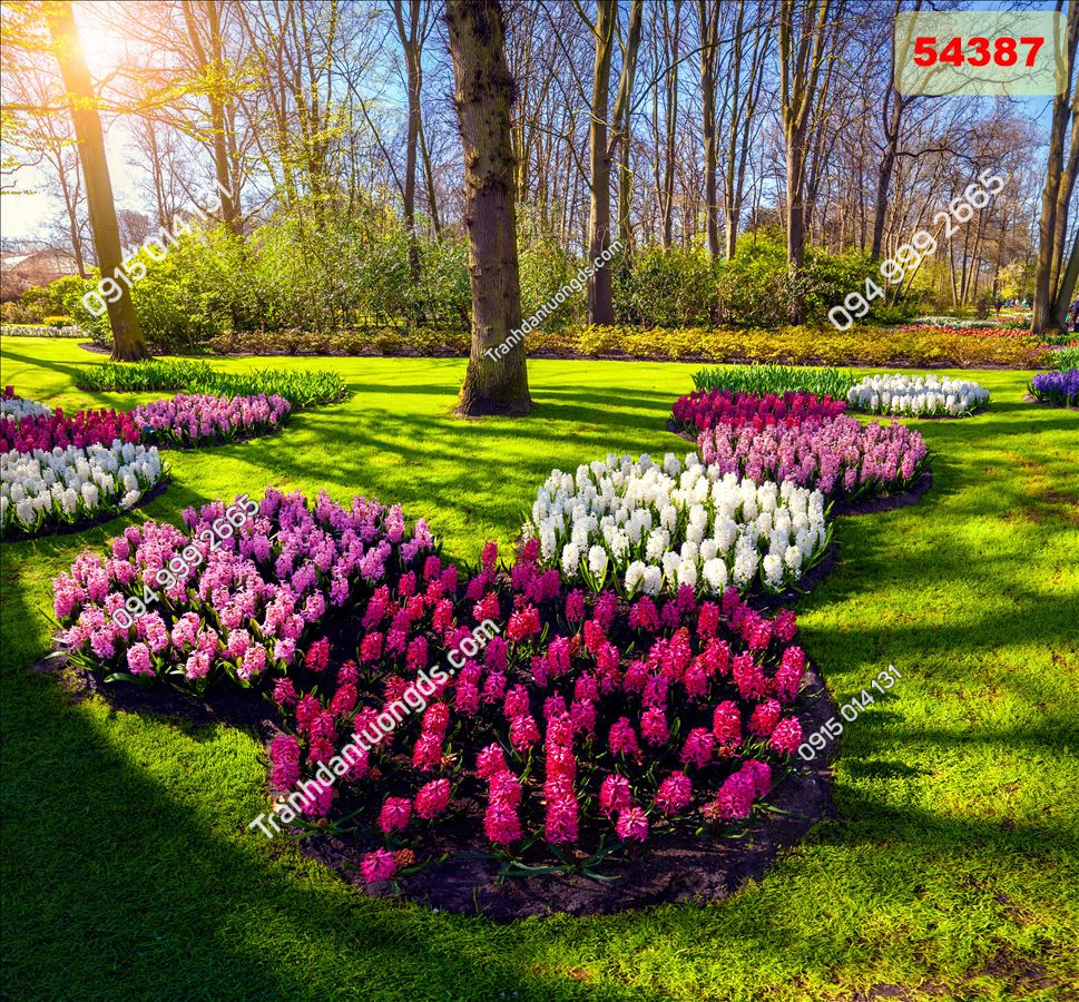 Tranh dán tường 3D phong cảnh hoa tuylip phòng khách (12)